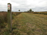 Wierdense Veld